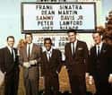 Members Of The Rat Pack Didn't Adopt The Nickname on Random Things About The Rat Pack