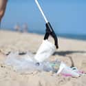 Littering contributes to pollutions, increases toxins in soil and water, and can spread disease to humans and animals.