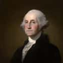 Washington's Smile Was Made Of Stolen Teeth on Random Things Of George Washington's Teeth Weren't Wooden At All - They May Have Been Teeth of Slaves