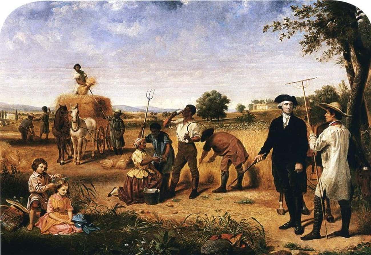 Первый европеец ступивший на землю северной америки. Джордж Вашингтон фермер. Колонисты Северной Америки 17 век. Плантаторы Южане в США 19 века. Ферма США 19 век.