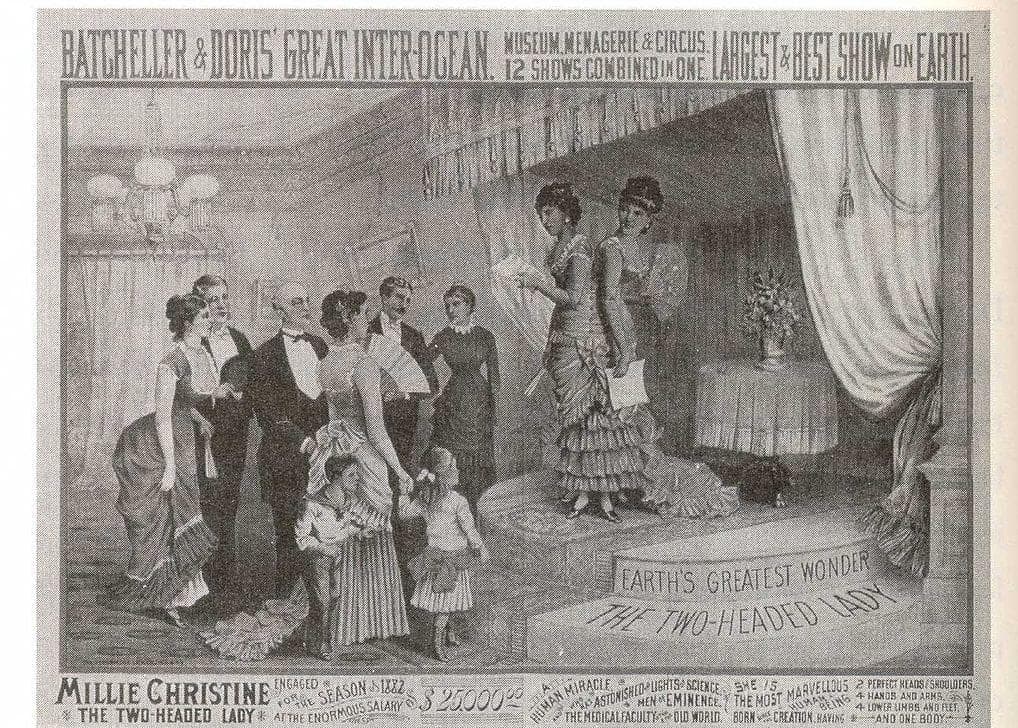 They Were Smuggled Out Of The US, And Their Owner Went Overseas To Get Them Back