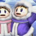Gemini: Ice Climbers on Random Nintendo Character You Are, Based On Your Zodiac Sign