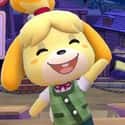 Libra: Isabelle on Random Nintendo Character You Are, Based On Your Zodiac Sign