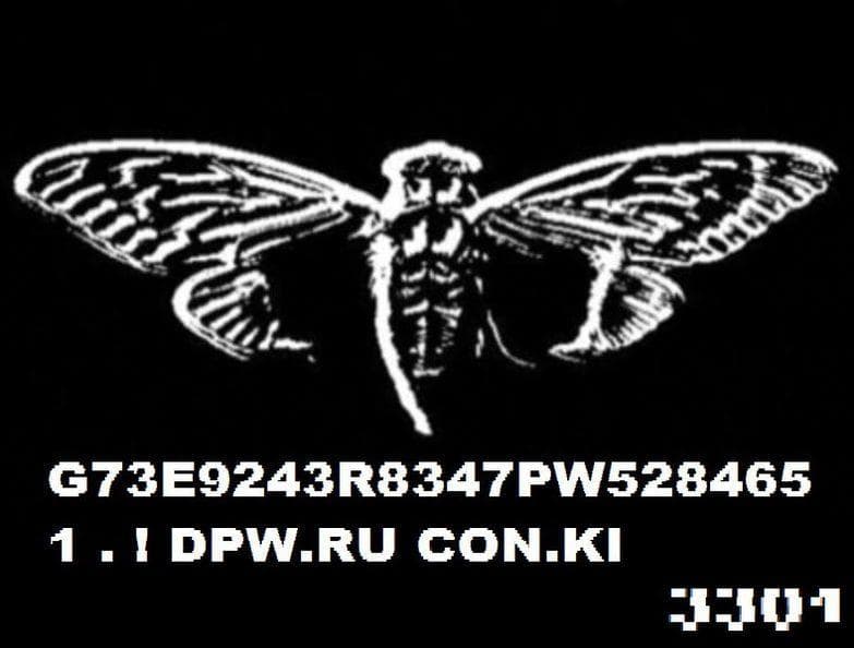 cicada 3301 4chan thread archive