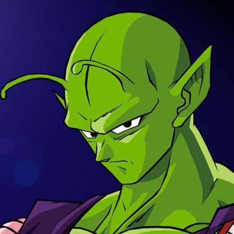 piccolo in real life