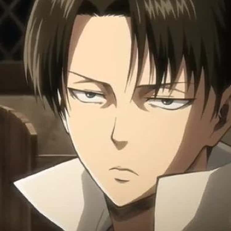The Levi Quotes of All Time