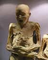 Screaming Mummies Have Been Found All Over The World on Random Horrifying Story Behind 'The Screaming Mummy'