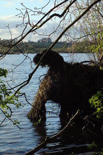 United States Lake Monsters That Will Make You Reconsider Your Summer
