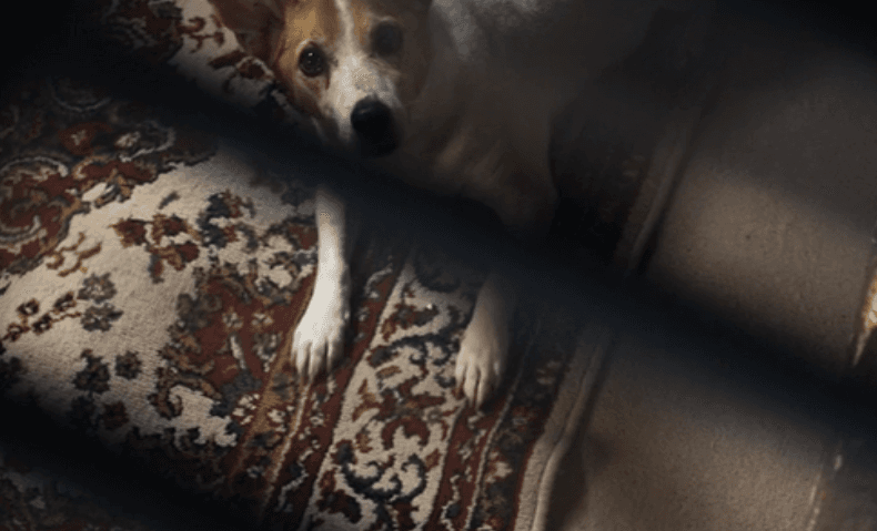 Gerald Foos Built A Secret Passageway In His Hotel, Where He Spied On