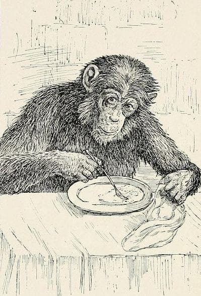 This Wasn't The End Of The Humanzees Idea