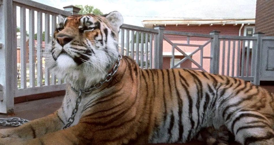 Things The Original Walking Dead Fans Hate About The TV Show