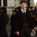 Credence Barebone Is Alive  on Random Fan Theories About Fantastic Beasts: Crimes of Grindelwald So Convincing, They Might Spoil It