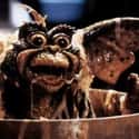The Film Mocks The 'Three Rules' Established In The First Movie  on Random 'Gremlins 2' Brilliantly Makes Fun Of Everyone Who Loved First Movi