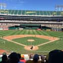 Oakland–Alameda County Coliseum on Random Best Baseball Stadiums To Eat At