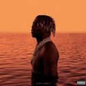Lil Boat 2 is listed (or ranked) 8 on the list The Best Albums of 2018