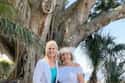 Barking Up The Wrong Tree: Woman Marries 100 Year Old Ficus on Random People Who Married Inanimate Objects