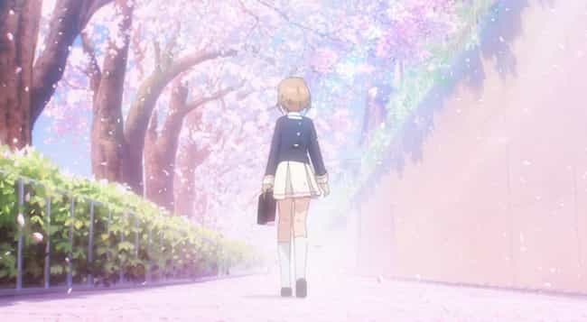 What's With All The Pink Flowers In Romance Anime?