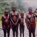 Other Andaman Tribes Haven't Faired As Well As The Sentinelese People on Random Thing We Know About The World's Most Isolated Tribe