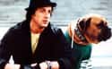 The Original Ending Had Rocky Throw The Fight And Open Up A Pet Store on Random 'Rocky' Series Was More Intense Behind Scenes Than A Swift Punch To Jaw