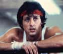 Stallone Wanted Queen's 'Another One Bites The Dust,' But Got 'Eye Of The Tiger' Instead on Random 'Rocky' Series Was More Intense Behind Scenes Than A Swift Punch To Jaw