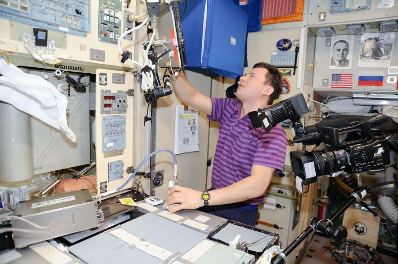 Astronauts Are Building An Electronic Nose To Locate Harmful Mold And Eliminate Allergens