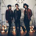 Rock, Alternative,   Palaye Royale is an American Rock band originally formed in Toronto, Canada, by brothers, Remington Leith (Vocals), Sebastian Danzig (Guitar) and Emerson Barrett (Drums). They formed in 2008 under the name 'Kropp Circle' (The brothers' last name), which was later changed to 'Palaye Royale' in 2011. Their EP 'The Ends Beginning' featured their first single "Morning Light". In December 2015, Palaye Royale signed with Sumerian Records to record their debut album 'Boom Boom Room (Side A)" which has 13 songs and 2 bonus tracks which were originally on their own EP. The bonus tracks are called "White" and the single, "Get Higher". Some of the songs from the album are "Mr.