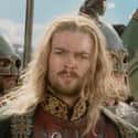 I would cut off your head, Dwarf, if it stood but a little higher from the ground. on Random Best Insults from Lord of Rings