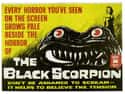 Scorpion on Random Scariest Horror Movie Animals
