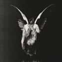 Erase Me is listed (or ranked) 13 on the list The Best Metal Albums of 2018