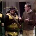 The Killer Bees on Random Best Saturday Night Live Original Cast Sketches