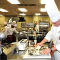 Head Chef on Random Toughest Service Industry Jobs