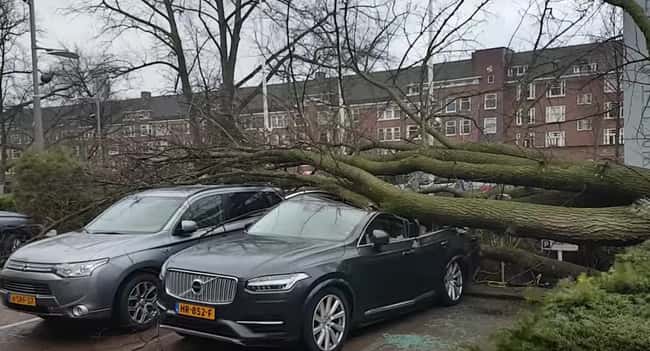 Windstorm Friederike is listed (or ranked) 8 on the list The Worst Natural Disasters of 2018