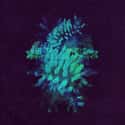 All Glows is listed (or ranked) 30 on the list The Best EDM Albums Of 2018