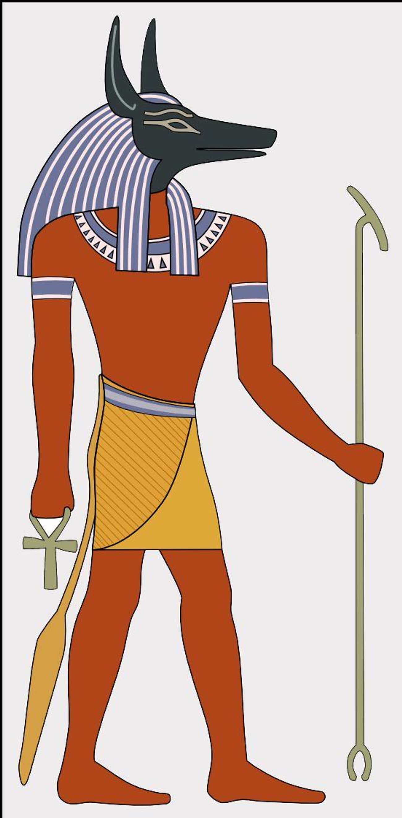 Anubis Symbolizes Tolerance
