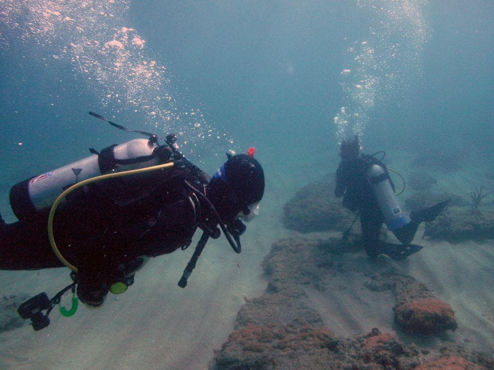 Here Are All The Things That Could Go Wrong While Scuba Diving