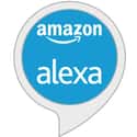 Alexa Things to Try on Random Most Essential Alexa Skills