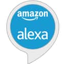 Alexa Things to Try on Random Most Essential Alexa Skills
