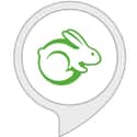 TaskRabbit on Random Most Essential Alexa Skills