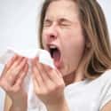 Common Cold on Random Best Excuses for Calling in Sick