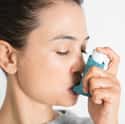 Asthma Attack on Random Best Excuses for Calling in Sick