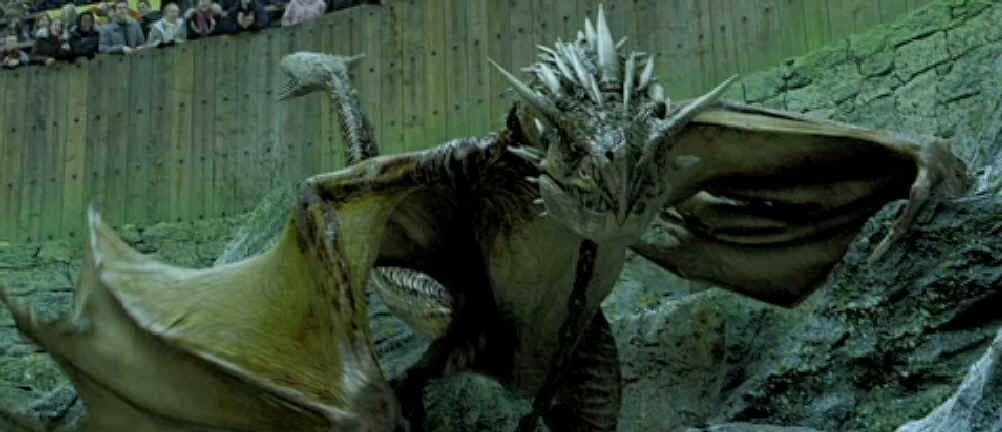 Students Regularly Die In The Triwizard Tournament