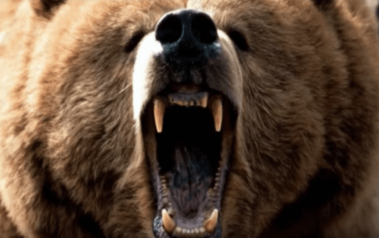 These Dumb People Unfortunately Win Darwin Awards For 2018