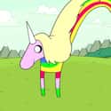 Libra (September 23-October 22): Lady Rainicorn on Random Adventure Time Character You  Are, According To Your Zodiac Sign