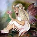 Fairies Are Friendly But Fickle on Random Different Types Of Angels