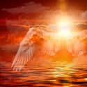 Enochian Angels Have Special Skills on Random Different Types Of Angels