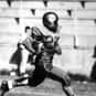 Stan Sheriff is listed (or ranked) 50 on the list The Best Pittsburgh Steelers Linebackers of All Time