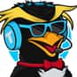 TuxBird is listed (or ranked) 1 on the list The Best 'Rainbow Six Siege' YouTube Channels