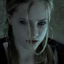 She Was Nominated For A Golden Globe Award At 16 Years Old on Random Things You Didn't Know About Evan Rachel Wood