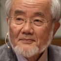 A Japanese Scientist Won The Nobel Prize In Medicine For His Research On Fasting on Random Facts About Breatharianism