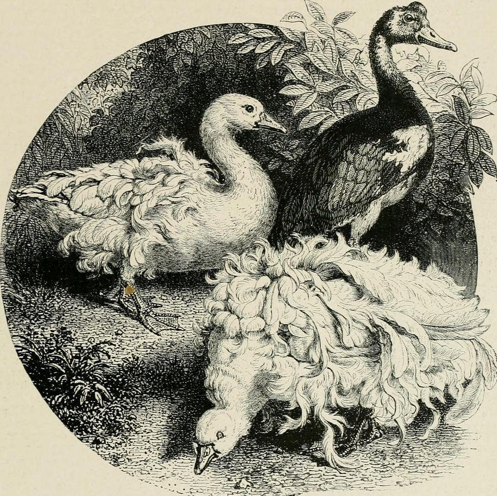 14 Unusual Facts About Beatrix Potter, The Creator Of Peter Rabbit